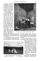 giornale/UM10003065/1938/unico/00000277