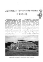 giornale/UM10003065/1938/unico/00000319
