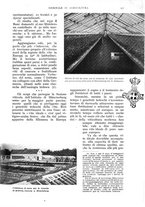 giornale/UM10003065/1938/unico/00000321