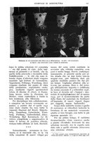 giornale/UM10003065/1938/unico/00000325