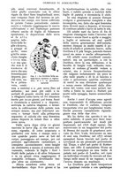 giornale/UM10003065/1938/unico/00000333