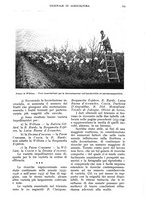 giornale/UM10003065/1938/unico/00000339