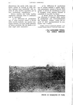 giornale/UM10003065/1938/unico/00000356