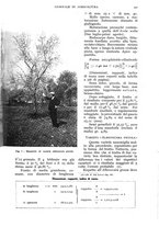 giornale/UM10003065/1938/unico/00000455