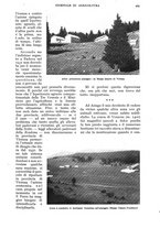 giornale/UM10003065/1938/unico/00000527