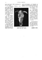 giornale/UM10003065/1939/unico/00000050