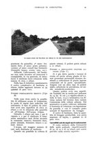 giornale/UM10003065/1939/unico/00000055