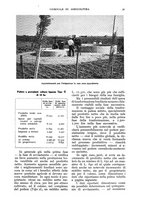 giornale/UM10003065/1939/unico/00000057