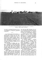 giornale/UM10003065/1939/unico/00000059