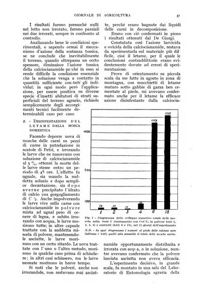 L'Italia agricola