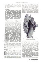 giornale/UM10003065/1939/unico/00000071