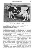 giornale/UM10003065/1939/unico/00000137