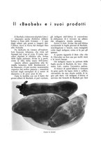 giornale/UM10003065/1939/unico/00000153