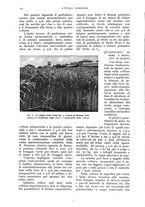 giornale/UM10003065/1939/unico/00000256