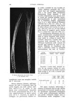 giornale/UM10003065/1939/unico/00000362