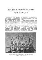 giornale/UM10003065/1939/unico/00000365