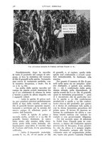 giornale/UM10003065/1939/unico/00000444