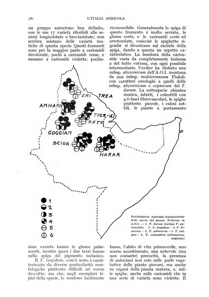 L'Italia agricola