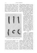 giornale/UM10003065/1939/unico/00000572