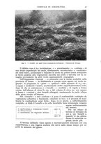 giornale/UM10003065/1940/unico/00000109