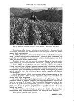 giornale/UM10003065/1940/unico/00000119