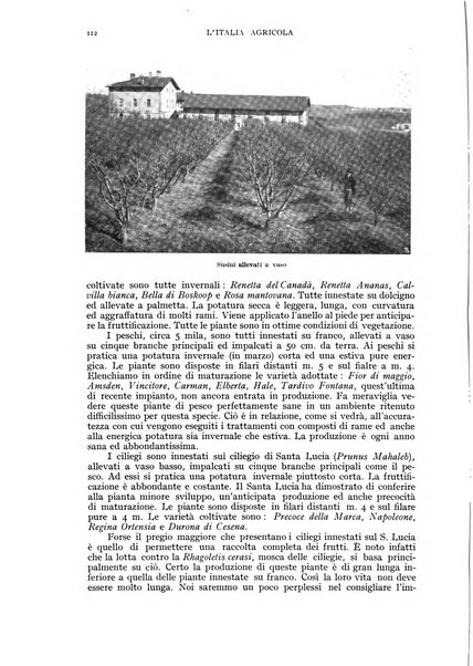 L'Italia agricola