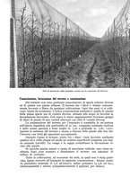 giornale/UM10003065/1940/unico/00000127