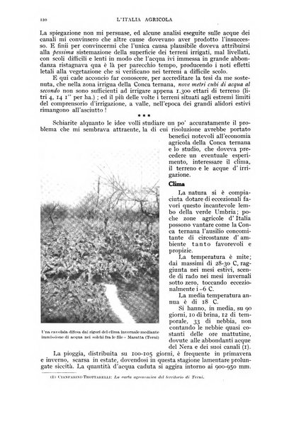 L'Italia agricola