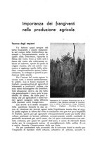 giornale/UM10003065/1940/unico/00000175