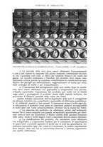 giornale/UM10003065/1940/unico/00000219