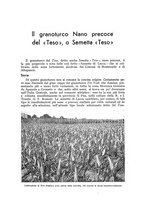 giornale/UM10003065/1940/unico/00000353