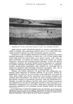 giornale/UM10003065/1940/unico/00000365