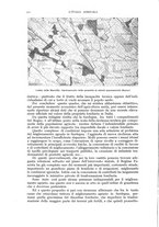 giornale/UM10003065/1940/unico/00000370