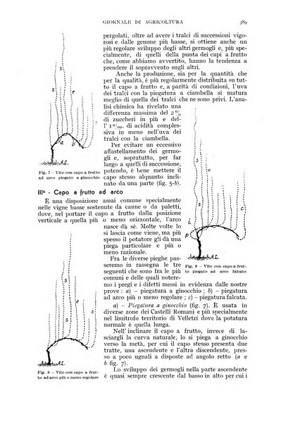 L'Italia agricola