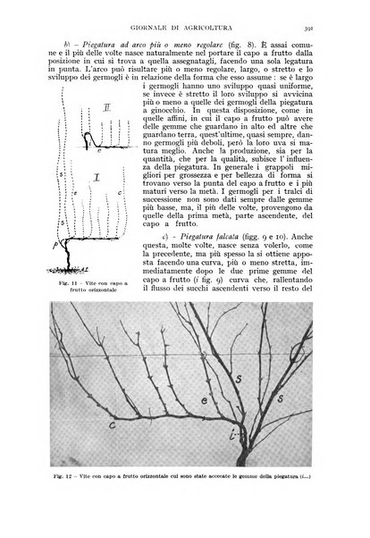 L'Italia agricola