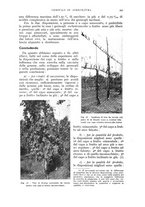 giornale/UM10003065/1940/unico/00000415