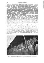 giornale/UM10003065/1940/unico/00000416