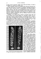 giornale/UM10003065/1940/unico/00000430