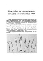 giornale/UM10003065/1940/unico/00000441