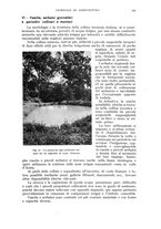 giornale/UM10003065/1940/unico/00000573