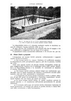 giornale/UM10003065/1940/unico/00000580