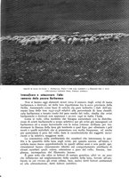 giornale/UM10003065/1941/unico/00000017