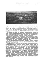 giornale/UM10003065/1941/unico/00000041