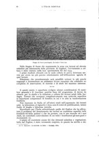 giornale/UM10003065/1941/unico/00000042