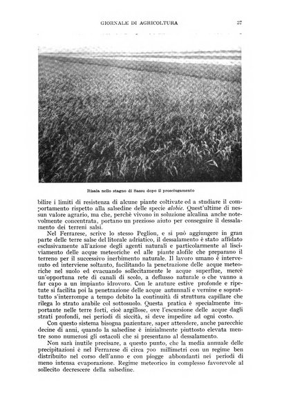 L'Italia agricola