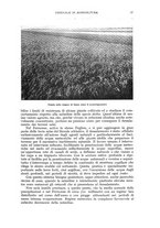 giornale/UM10003065/1941/unico/00000043