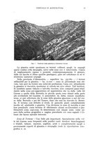 giornale/UM10003065/1941/unico/00000049