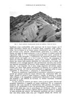 giornale/UM10003065/1941/unico/00000051