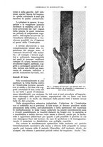 giornale/UM10003065/1941/unico/00000107