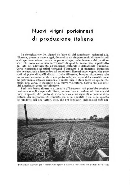 L'Italia agricola